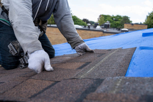 Best Gutter Installation and Repair  in Luray, VA